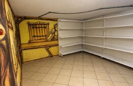 Casă individuală superbă pe un singur nivel-Sâncraiu de Mures