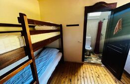Casa de inchiriat, 5 camere, 130 mp, 450 mp teren, zona Madaras