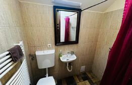Casa de inchiriat, 5 camere, 130 mp, 450 mp teren, zona Madaras