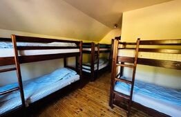 Casa de inchiriat, 5 camere, 130 mp, 450 mp teren, zona Madaras