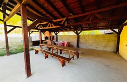 Casa de inchiriat, 5 camere, 130 mp, 450 mp teren, zona Madaras