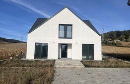 Casa de vanzare, 185 mp, 823 mp, zona Remetea – Unirii 
