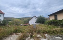Casa de vanzare, 60 mp, teren 1500 mp, zona Livezeni