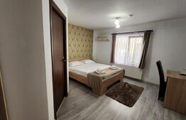 Pensiune de inchiriat, 600 mp, zona Ultracentral - Reghin