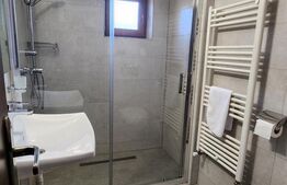 Pensiune de inchiriat, 600 mp, zona Ultracentral - Reghin