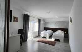 Pensiune de inchiriat, 600 mp, zona Ultracentral - Reghin
