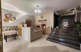 Pensiune de inchiriat, 600 mp, zona Ultracentral - Reghin