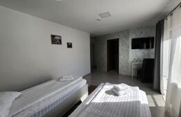 Pensiune de inchiriat, 600 mp, zona Ultracentral - Reghin