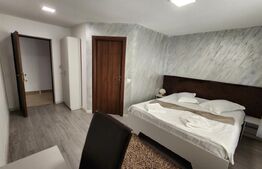 Pensiune de inchiriat, 600 mp, zona Ultracentral - Reghin