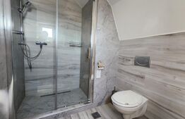Pensiune de inchiriat, 600 mp, zona Ultracentral - Reghin