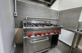 Pensiune de inchiriat, 500 mp, zona Ultracentrala - Reghin