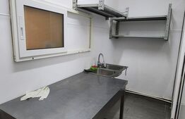Pensiune de inchiriat, 500 mp, zona Ultracentrala - Reghin