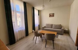 Pensiune de inchiriat, 500 mp, zona Ultracentrala - Reghin