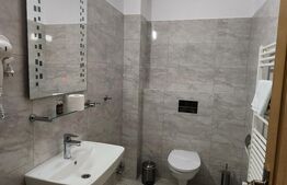 Pensiune de inchiriat, 500 mp, zona Ultracentrala - Reghin