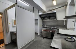 Pensiune de inchiriat, 500 mp, zona Ultracentrala - Reghin