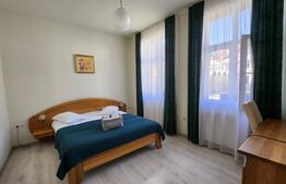 Pensiune de inchiriat, 500 mp, zona Ultracentrala - Reghin