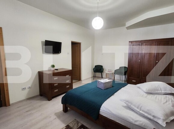 Spațiu comercial de închiriat Reghin - 207936SIC | BLITZ Târgu Mureș | Poza6