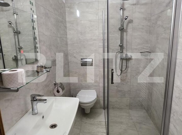 Spațiu comercial de închiriat Reghin - 207936SIC | BLITZ Târgu Mureș | Poza10