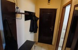 Apartament cu 2 camere, mobilat și utilat, la parter – Mureșeni