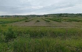 Teren intravilan, 12.400 mp, zona Acatari 