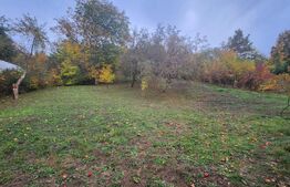 Casă de vânzare, 125 mp, 3000 mp, zona 7 Noiembrie 