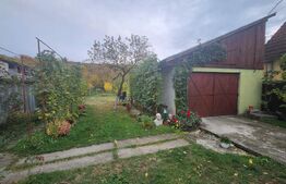 Casă de vânzare, 125 mp, 3000 mp, zona 7 Noiembrie 