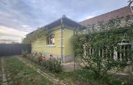 Casă de vânzare, 125 mp, 3000 mp, zona 7 Noiembrie 
