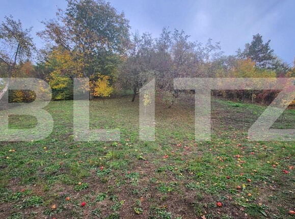 Casa de vânzare 3 camere 7 Noiembrie - 208328CV | BLITZ Târgu Mureș | Poza10