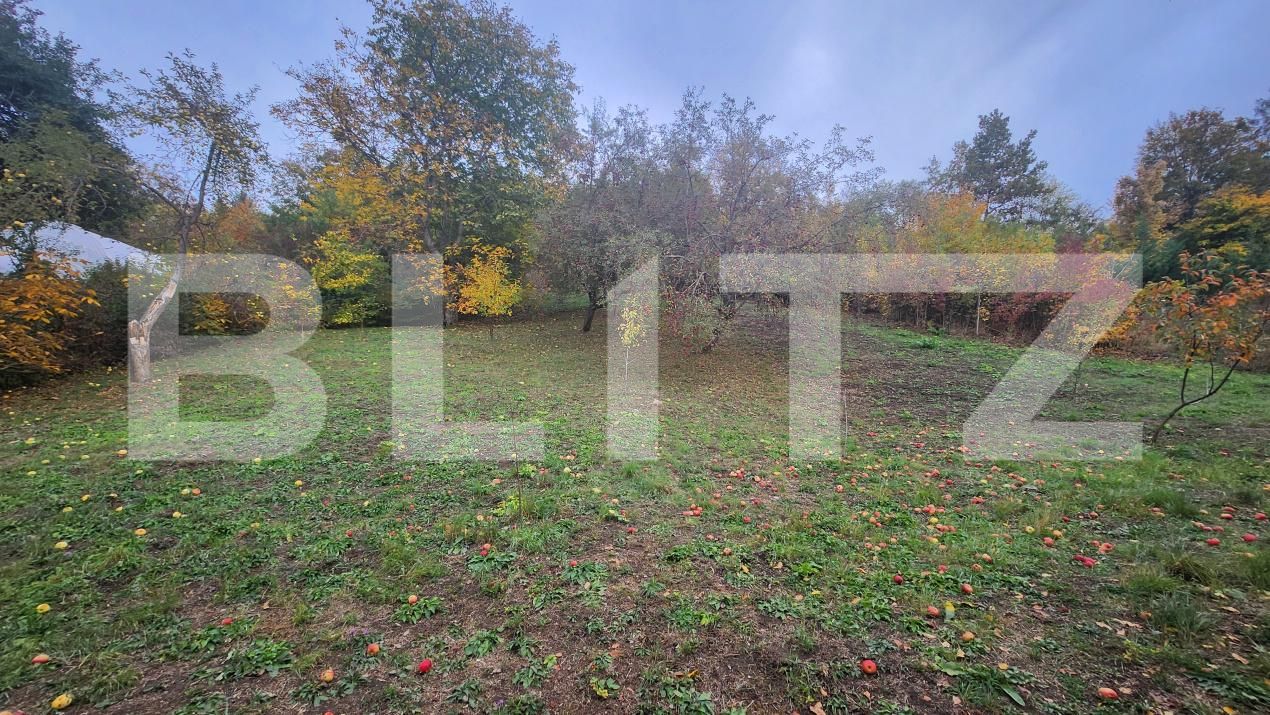 Casa de vânzare 3 camere 7 Noiembrie - 208328CV | BLITZ Târgu Mureș | Poza10