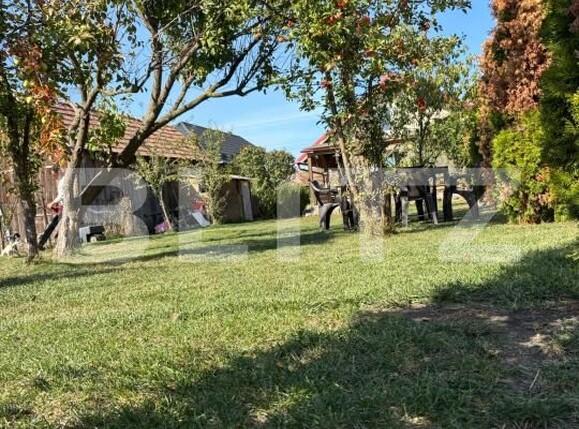 Casa de vânzare 3 camere Sântana de Mureș - 208378CV | BLITZ Târgu Mureș | Poza15