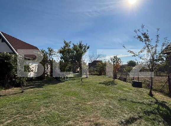 Casa de vânzare 3 camere Sântana de Mureș - 208378CV | BLITZ Târgu Mureș | Poza22