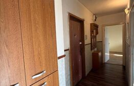 Apartament de vanzare, 51 mp, zona Dambu Pietros 