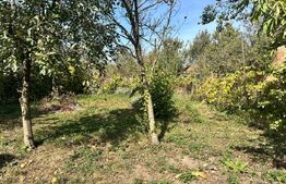 Casa de vanzare, 80 mp, zona Murgesti, comuna Acatari