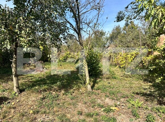Casa de vânzare 2 camere Acățari - 208433CV | BLITZ Târgu Mureș | Poza5