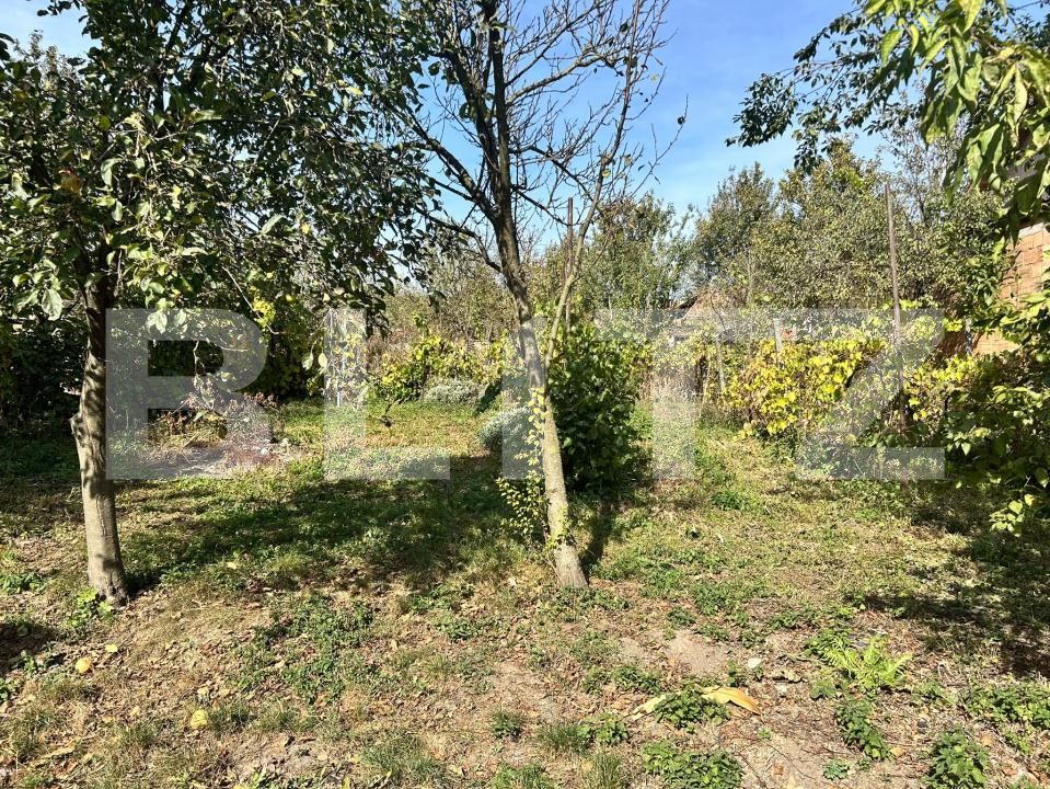 Casa de vânzare 2 camere Acățari - 208433CV | BLITZ Târgu Mureș | Poza5