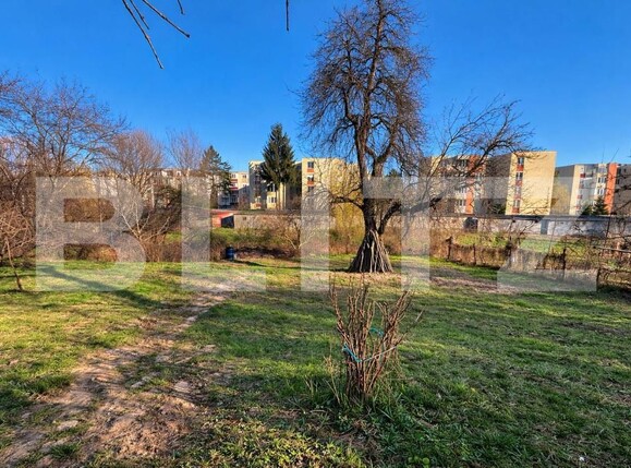 Casa de vânzare 3 camere Reghin - 208552CV | BLITZ Târgu Mureș | Poza5