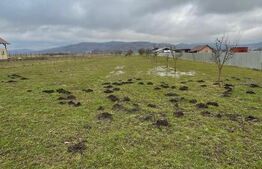Teren de vanzare, 56 ari, zona Brâncovenești