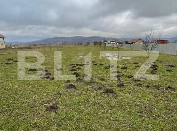 Teren de vânzare Brancovenesti - 208580TV | BLITZ Târgu Mureș | Poza2