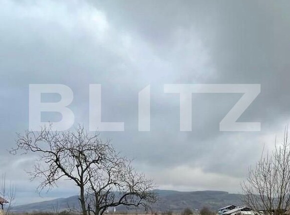 Teren de vânzare Brancovenesti - 208580TV | BLITZ Târgu Mureș | Poza4