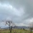 Teren de vânzare Brancovenesti - 208580TV - Poza 1 din 4 | BLITZ Târgu Mureș | Poza3