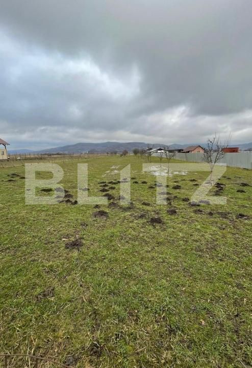 Teren de vânzare Brancovenesti - 208580TV | BLITZ Târgu Mureș | Poza2