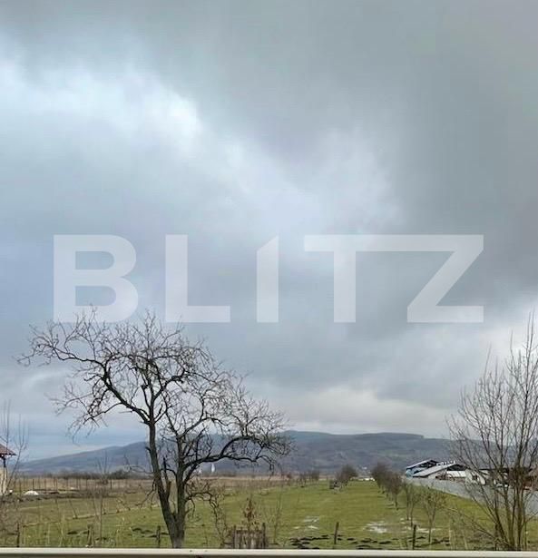 Teren de vânzare Brancovenesti - 208580TV | BLITZ Târgu Mureș | Poza4
