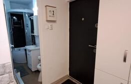 Apartament cu 2 camere, 28 mp, zona Tudor 
