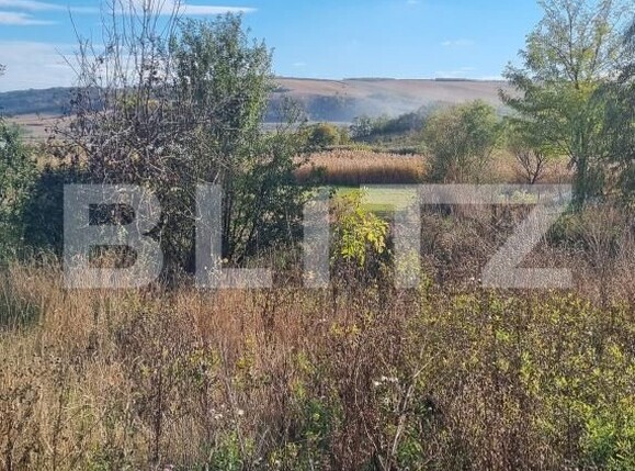 Casa de vânzare 2 camere Taureni - 208805CV | BLITZ Târgu Mureș | Poza19