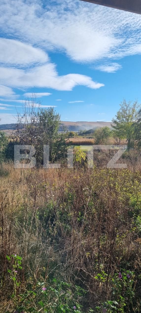 Casa de vânzare 2 camere Taureni - 208805CV | BLITZ Târgu Mureș | Poza19