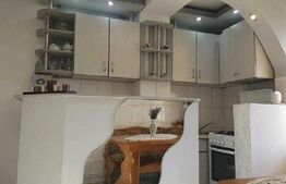 Apartament 2 camere, 57 mp, zona Tudor - Pandurilor 
