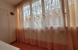 Apartament 2 camere, 57 mp, zona Tudor - Pandurilor 