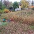 Teren de vânzare Semicentral - 209164TV - Poza 1 din 3 | BLITZ Târgu Mureș | Poza2