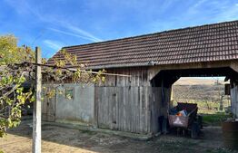  Casa de vanzare, 120 mp, zona Ludus - Rosiori