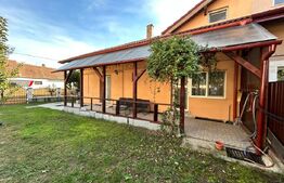 Casa de vanzare, 290 mp, zona Centrala - Ludus